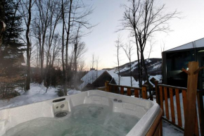 Гостиница Chalets Alpins - 3 Chemin des Montagnards  Стоунхэм 